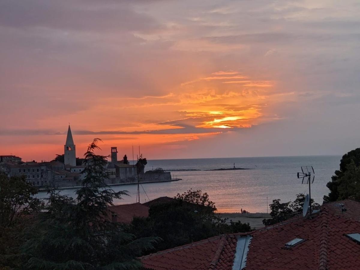 Studio D Poreč Kültér fotó